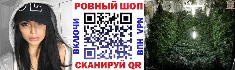 Где купить наркотики Пучеж A PVP  АМФЕТАМИН  МЕФ  Галлюциногенные грибы  Конопля  ГАШИШ 