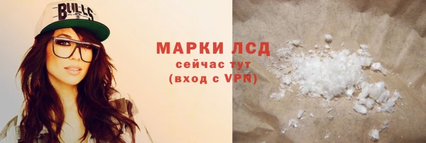 индика Новокубанск
