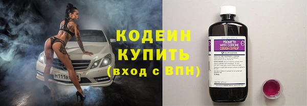 индика Новокубанск