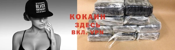 индика Новокубанск