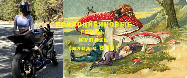 индика Новокубанск