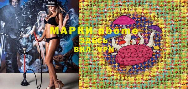 индика Новокубанск