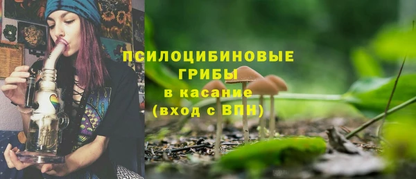 стаф Нязепетровск